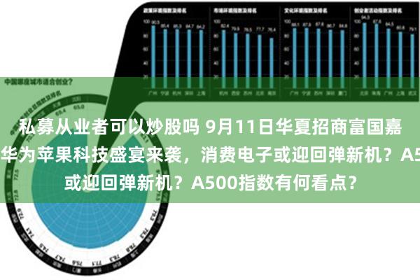 私募从业者可以炒股吗 9月11日华夏招商富国嘉实等基金大咖说：华为苹果科技盛宴来袭，消费电子或迎回弹新机？A500指数有何看点？