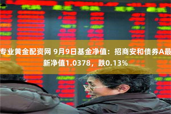 专业黄金配资网 9月9日基金净值：招商安和债券A最新净值1.0378，跌0.13%