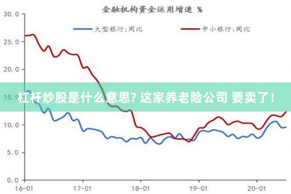 杠杆炒股是什么意思? 这家养老险公司 要卖了！