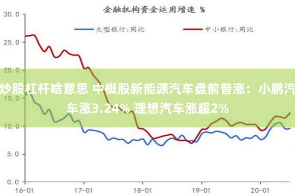 炒股杠杆啥意思 中概股新能源汽车盘前普涨：小鹏汽车涨3.24% 理想汽车涨超2%