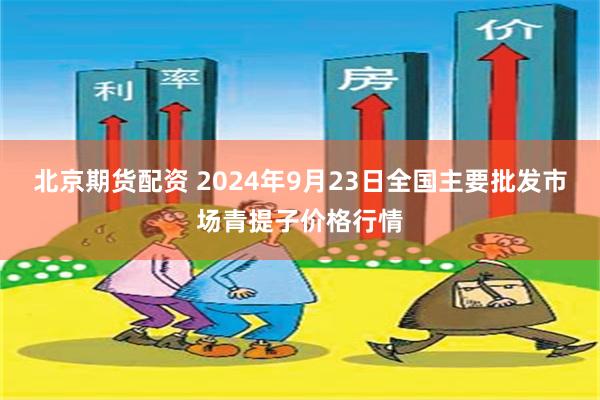 北京期货配资 2024年9月23日全国主要批发市场青提子价格行情