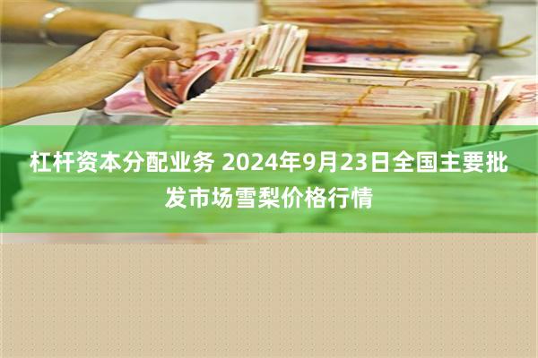 杠杆资本分配业务 2024年9月23日全国主要批发市场雪梨价格行情