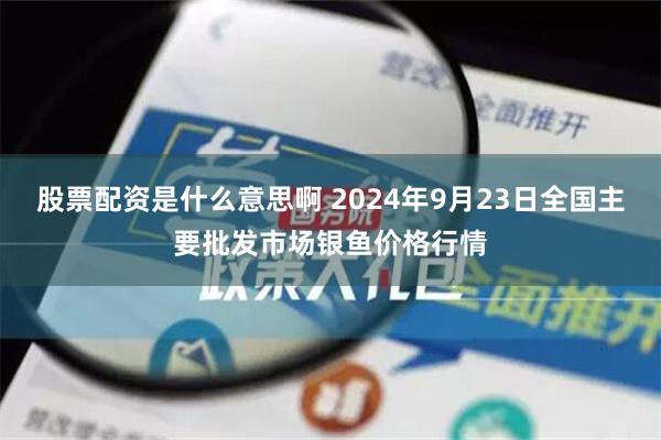 股票配资是什么意思啊 2024年9月23日全国主要批发市场银鱼价格行情