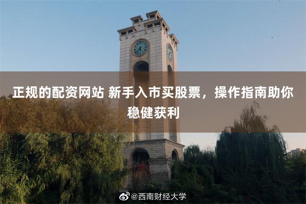 正规的配资网站 新手入市买股票，操作指南助你稳健获利