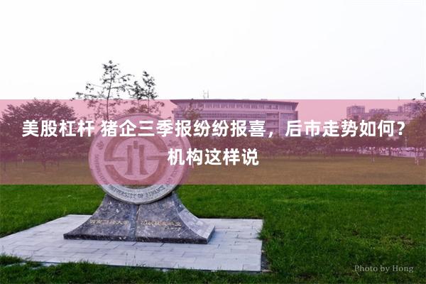 美股杠杆 猪企三季报纷纷报喜，后市走势如何？机构这样说