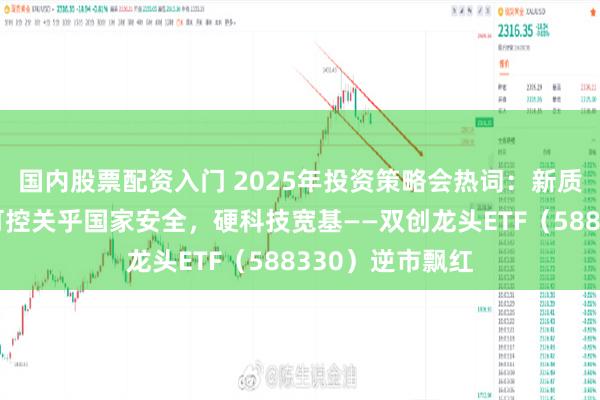 国内股票配资入门 2025年投资策略会热词：新质生产力！自主可控关乎国家安全，硬科技宽基——双创龙头ETF（588330）逆市飘红