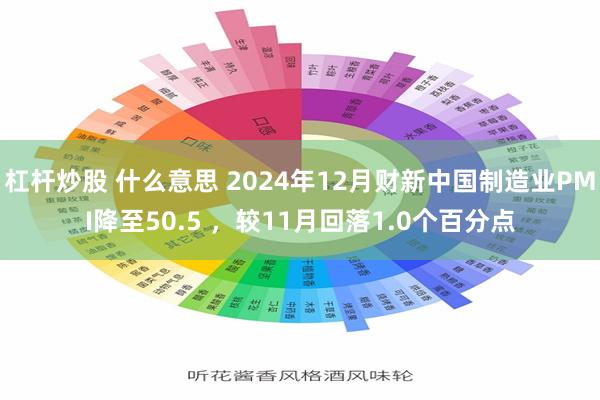 杠杆炒股 什么意思 2024年12月财新中国制造业PMI降至50.5 ，较11月回落1.0个百分点