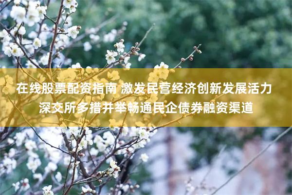 在线股票配资指南 激发民营经济创新发展活力 深交所多措并举畅通民企债券融资渠道