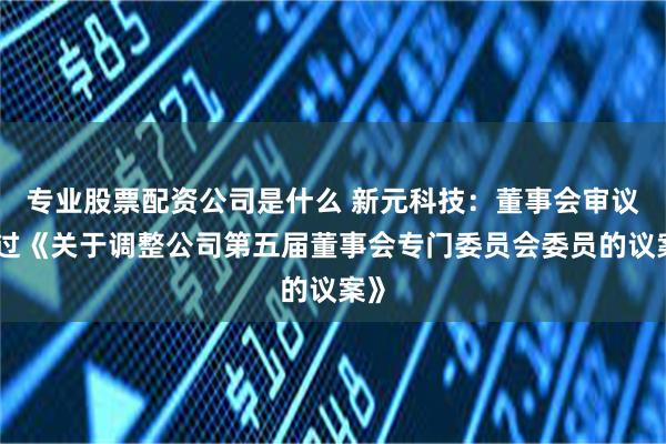 专业股票配资公司是什么 新元科技：董事会审议通过《关于调整公司第五届董事会专门委员会委员的议案》