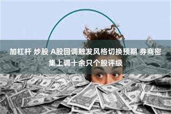 加杠杆 炒股 A股回调触发风格切换预期 券商密集上调十余只个股评级