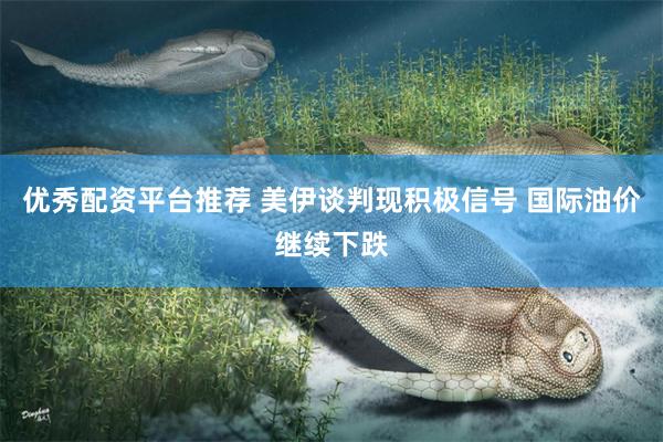 优秀配资平台推荐 美伊谈判现积极信号 国际油价继续下跌