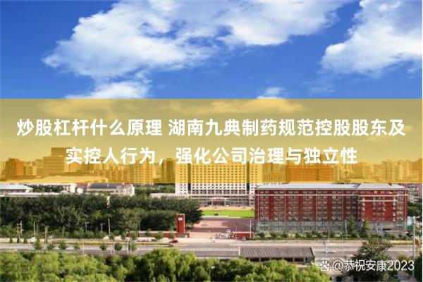 炒股杠杆什么原理 湖南九典制药规范控股股东及实控人行为，强化公司治理与独立性