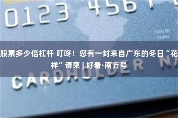 股票多少倍杠杆 叮咚！您有一封来自广东的冬日“花样”请柬 | 好看·南方号
