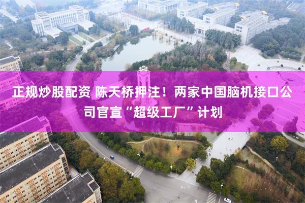 正规炒股配资 陈天桥押注！两家中国脑机接口公司官宣“超级工厂”计划
