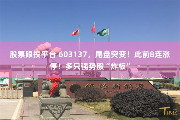 股票跟投平台 603137，尾盘突变！此前8连涨停！多只强势股“炸板”