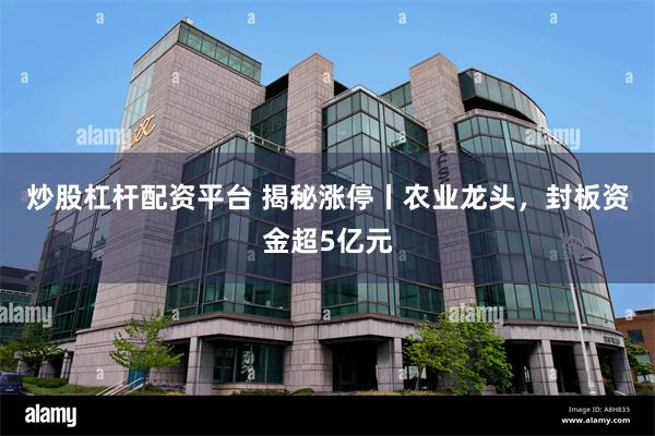 炒股杠杆配资平台 揭秘涨停丨农业龙头，封板资金超5亿元